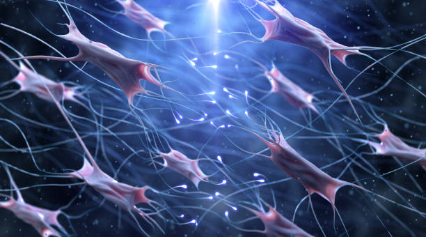 Fibroblast – SkinLift Tightening à Paris