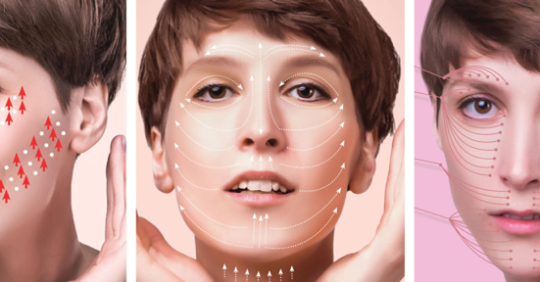 Fibroblast Paris
